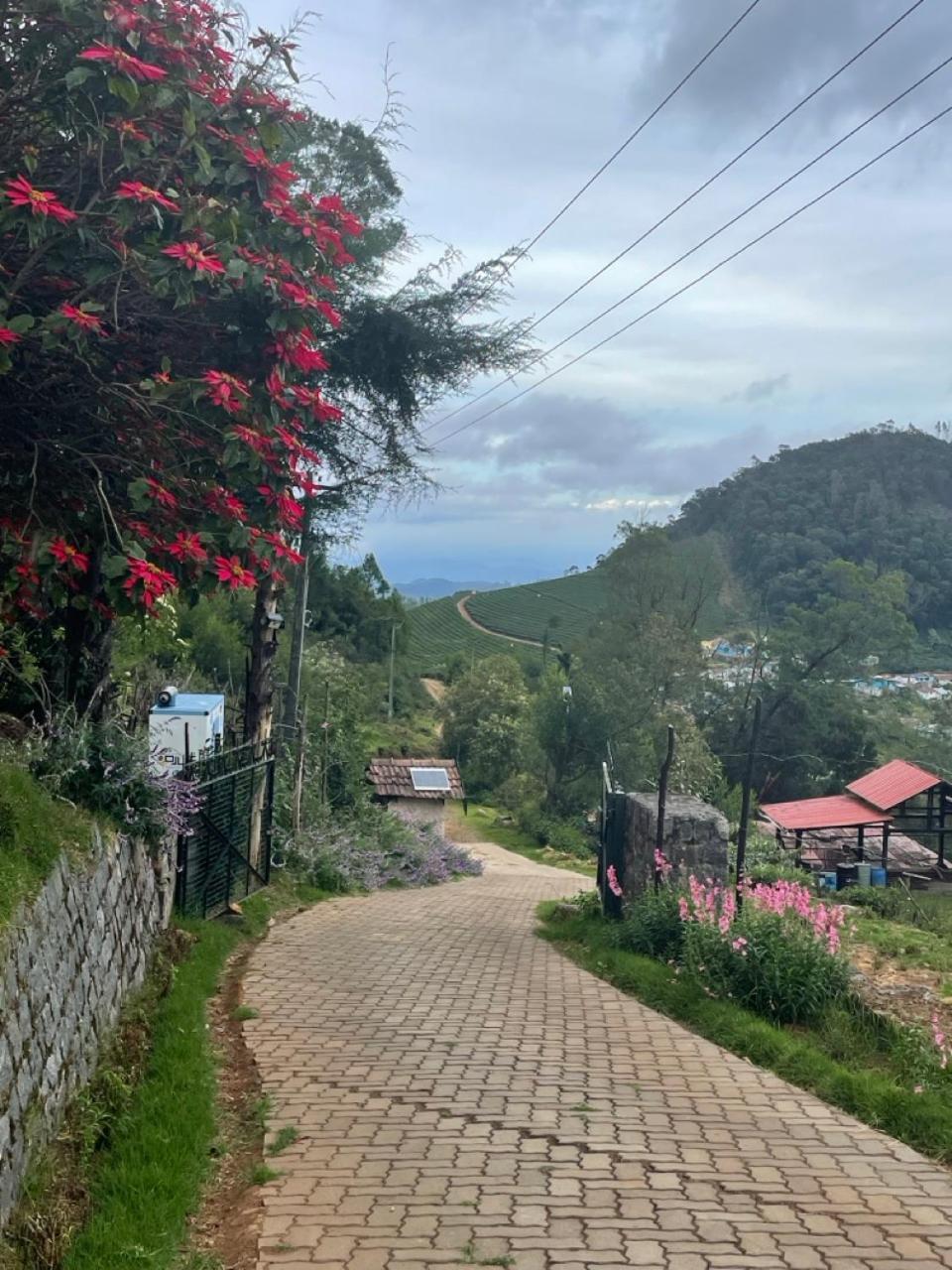 乌提Stumpfields住宿加早餐旅馆 外观 照片